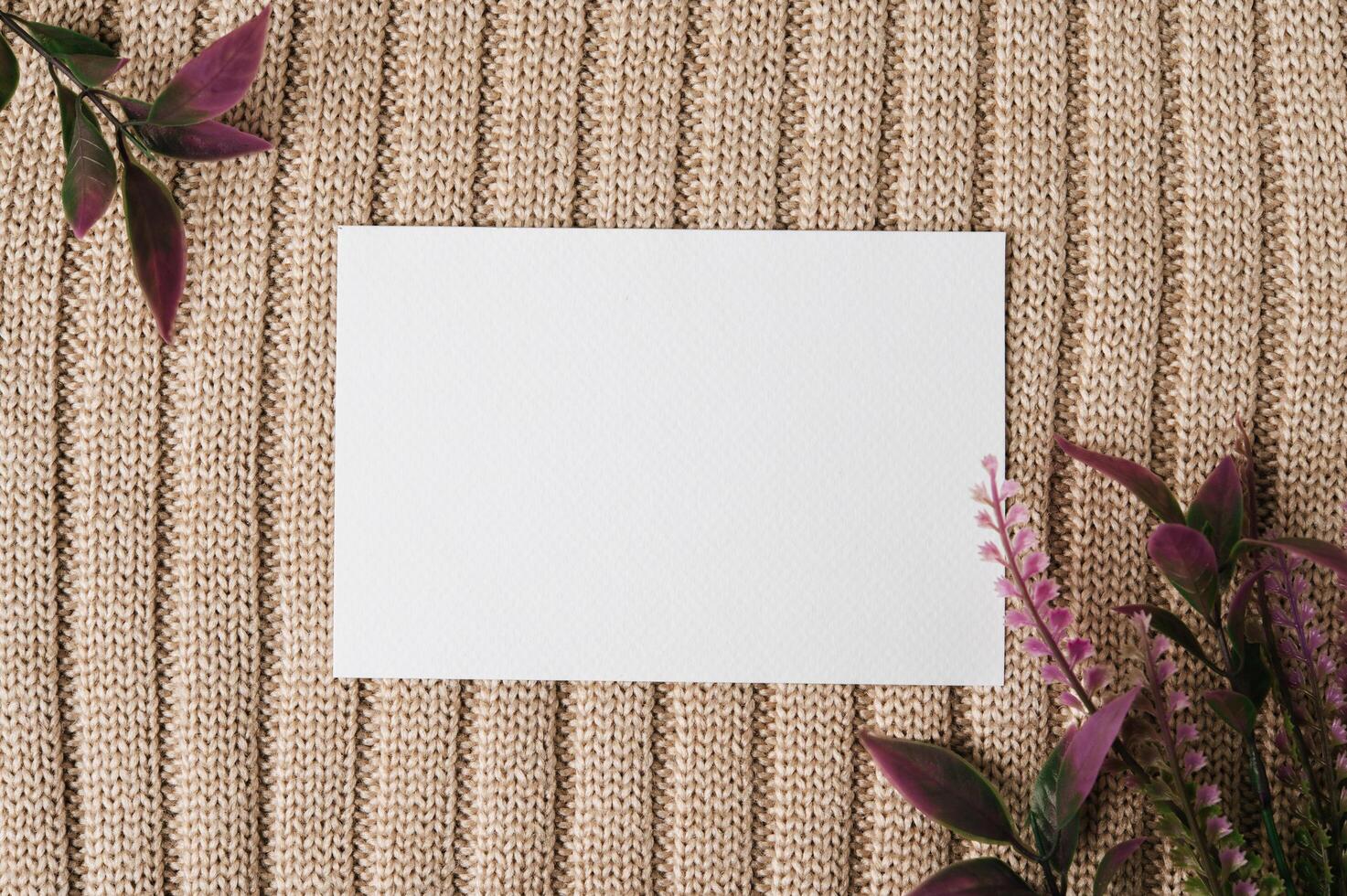 A blank card and a leaf on a sweater photo