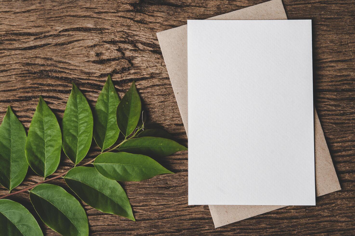 A blank card is placed on envelope and leaf with wood background photo