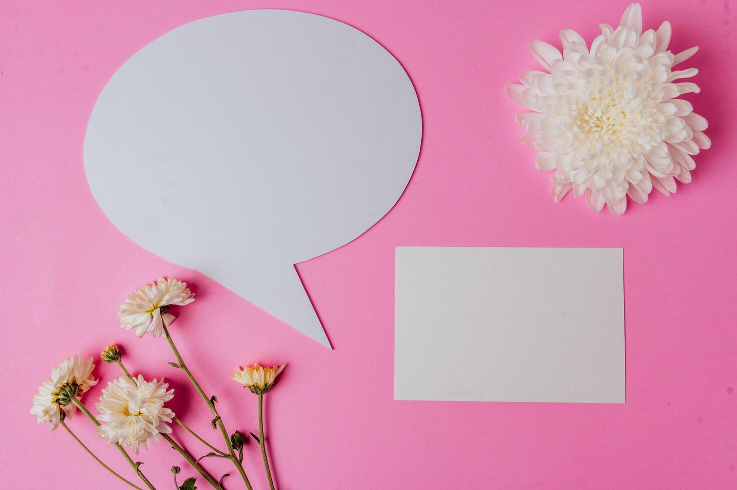 speech bubble oval, flower and clear card with pink background photo