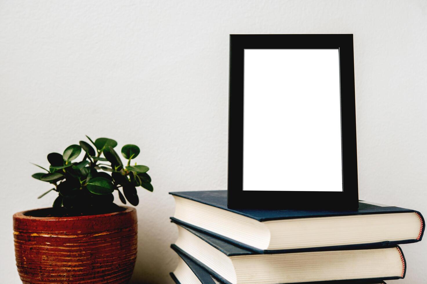 A picture frame placed on a book with a small plant pot photo