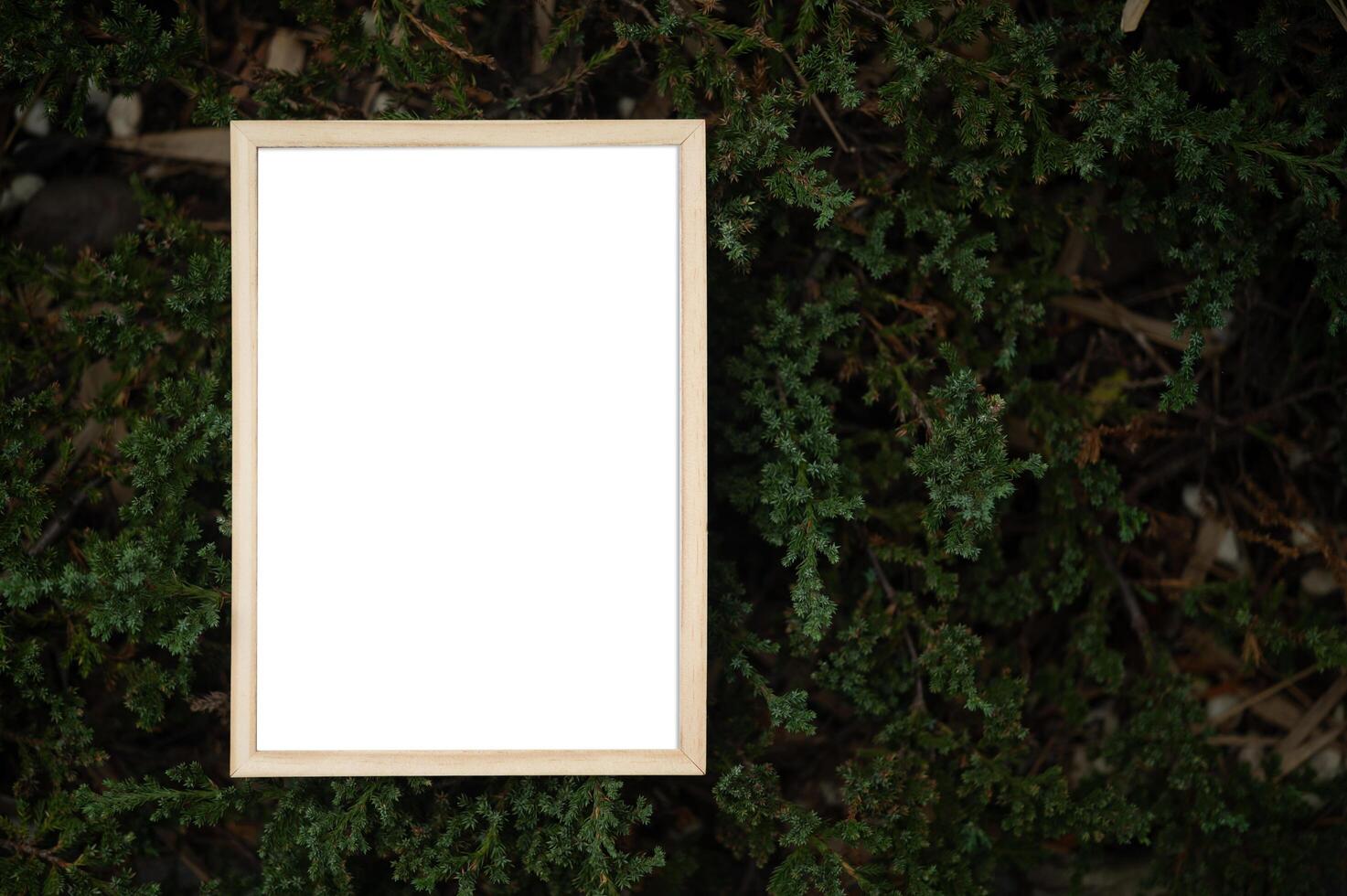 A white picture frame on a tree photo