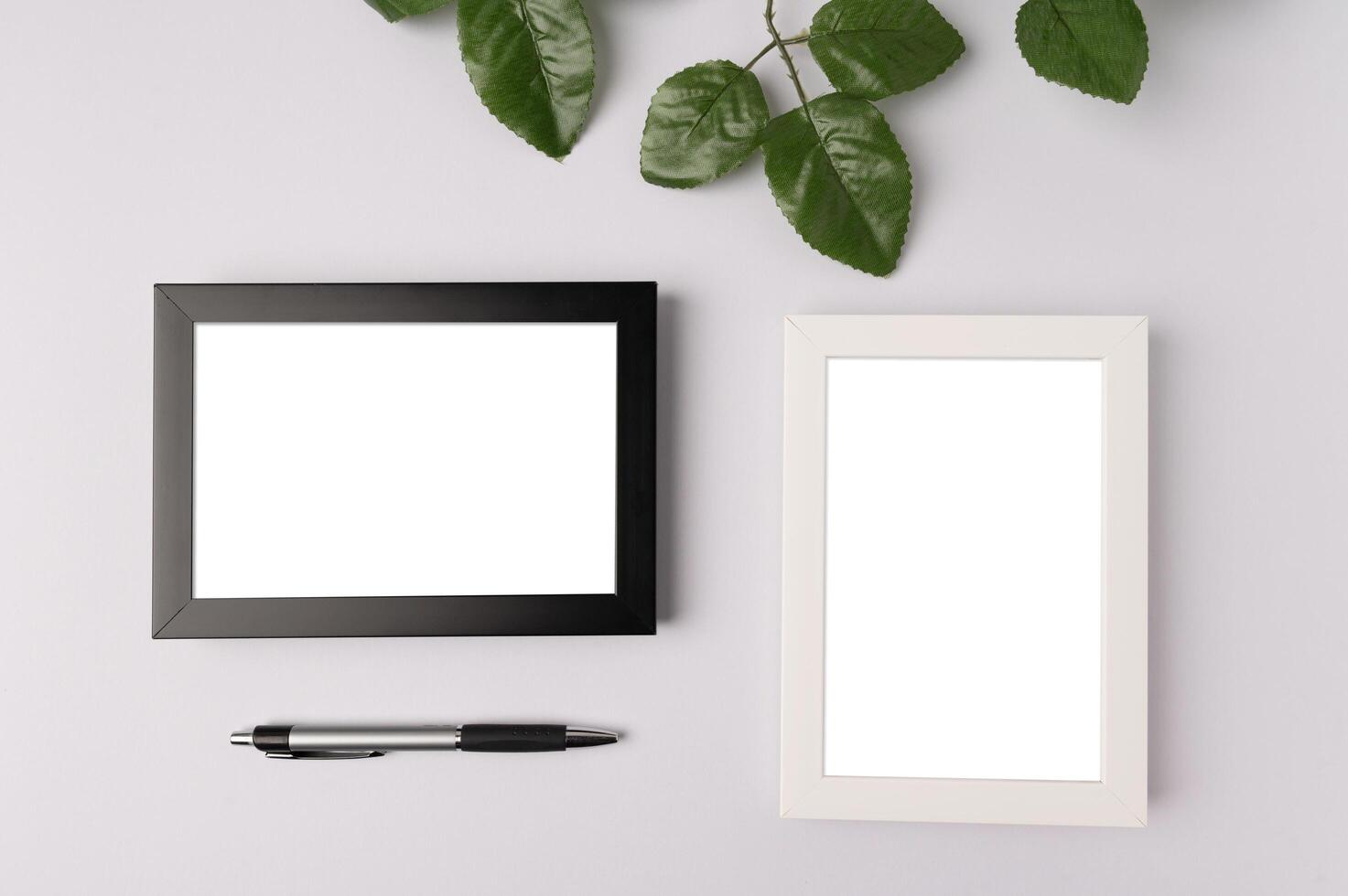 black photo frame white photo frame pen and leaf branchs