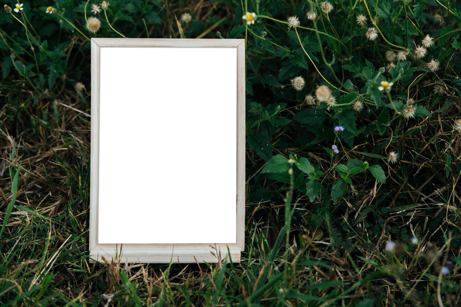 A white picture frame on a tree photo