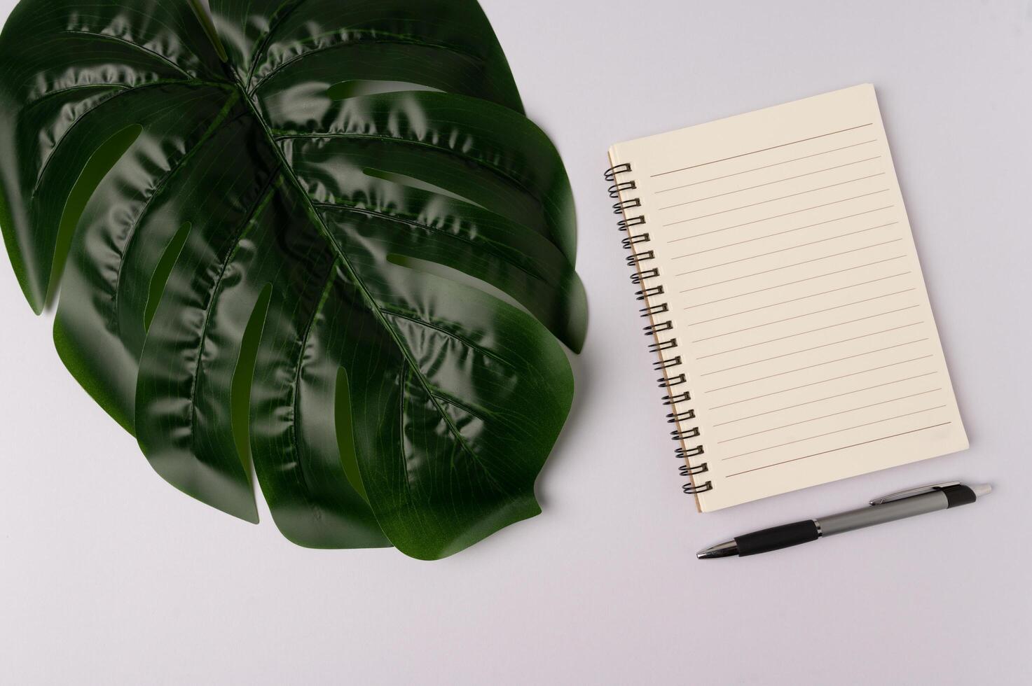 Lápiz y hoja de cuaderno sobre fondo blanco. foto