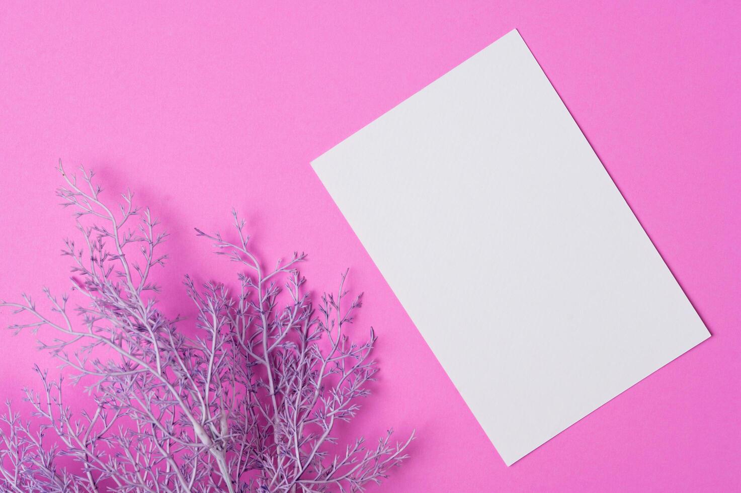 Blank paper with flowers placed on a pink background photo