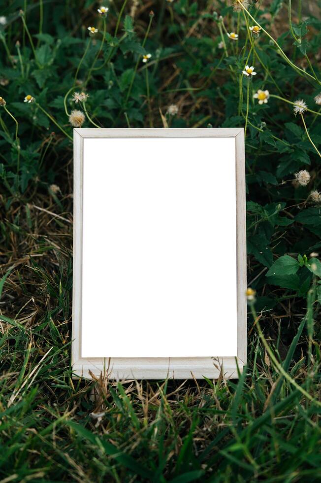 A white picture frame on a tree photo
