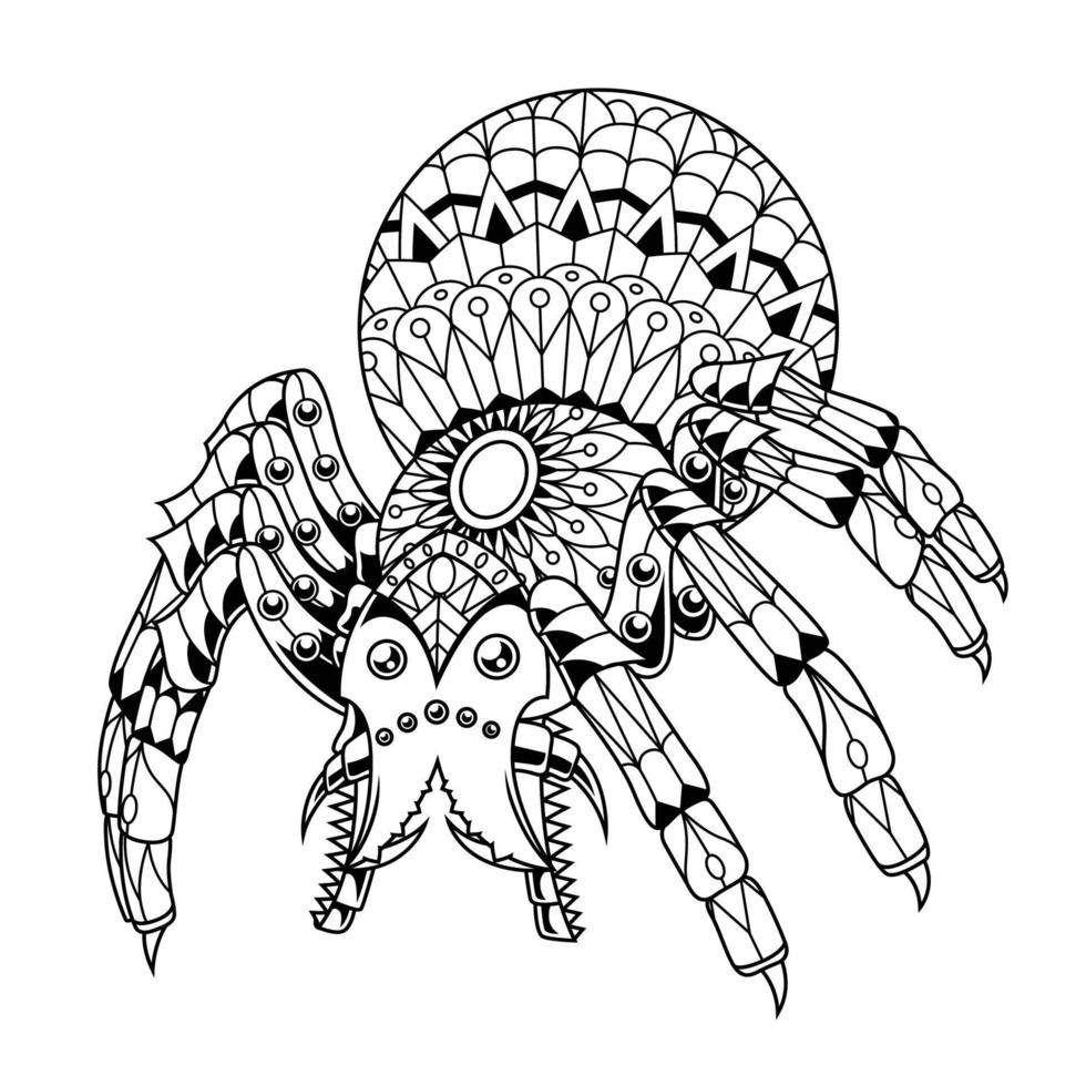 Spider Mandala Linear Style vector