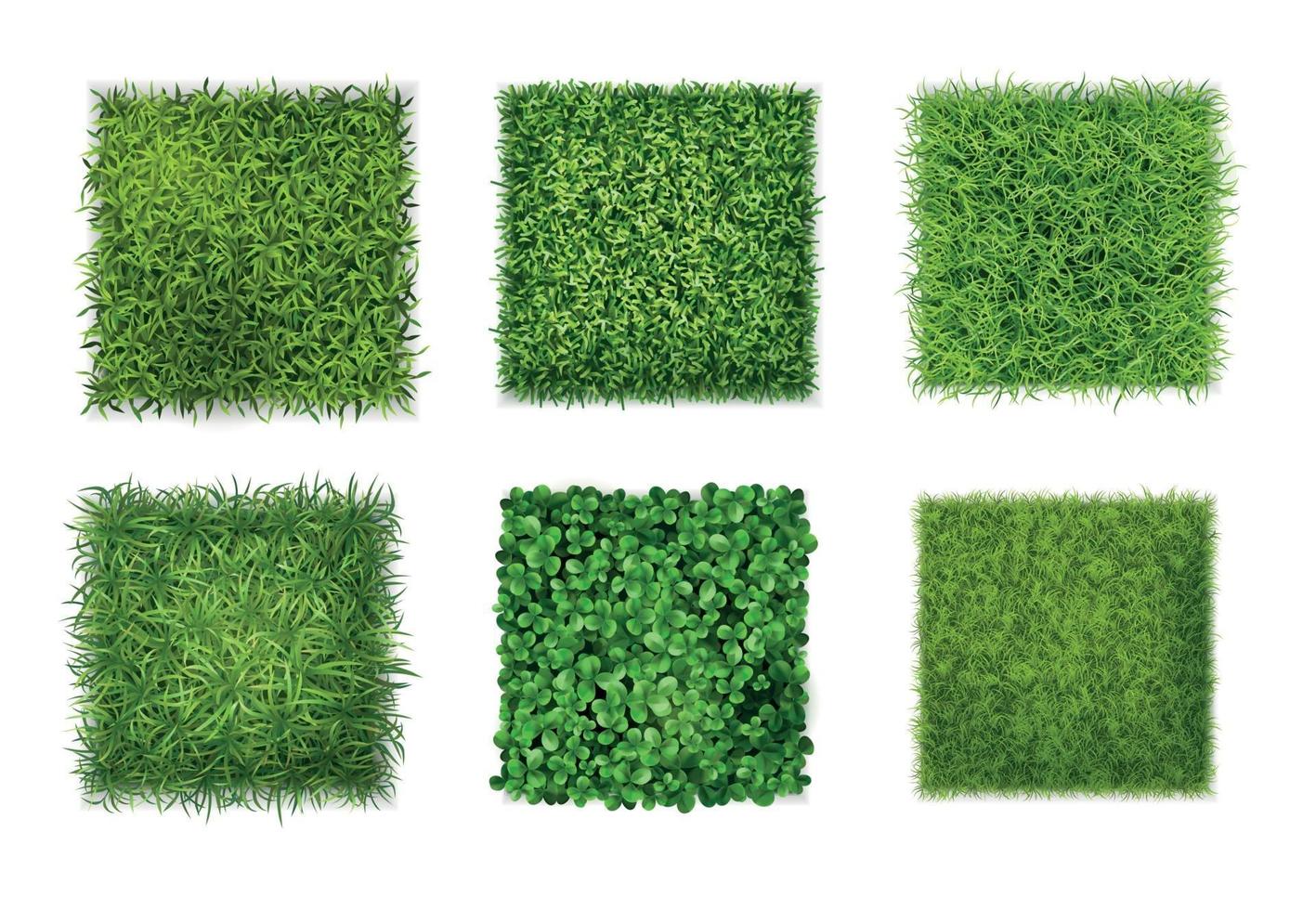 Green Grass Realistic Set vector