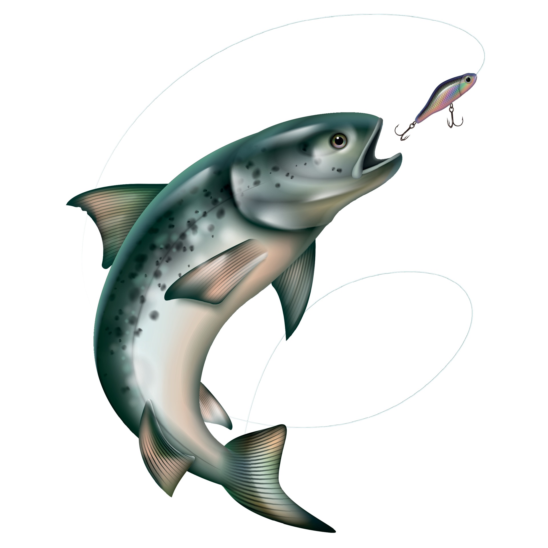 Jumping Fish Taking Bait 3384961 Vector Art at Vecteezy