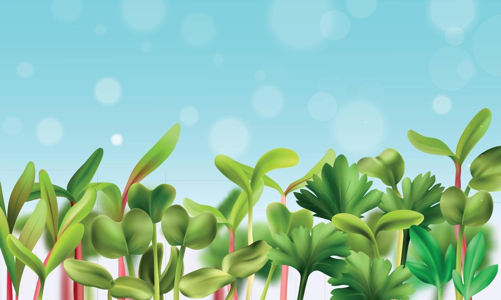 Healthy Nutrition Microgreens Background vector