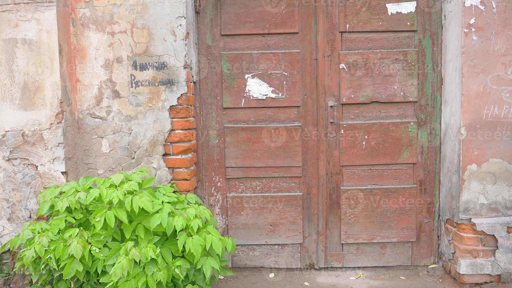 old broken concrete brick wall wooden door plant leaf background image photo