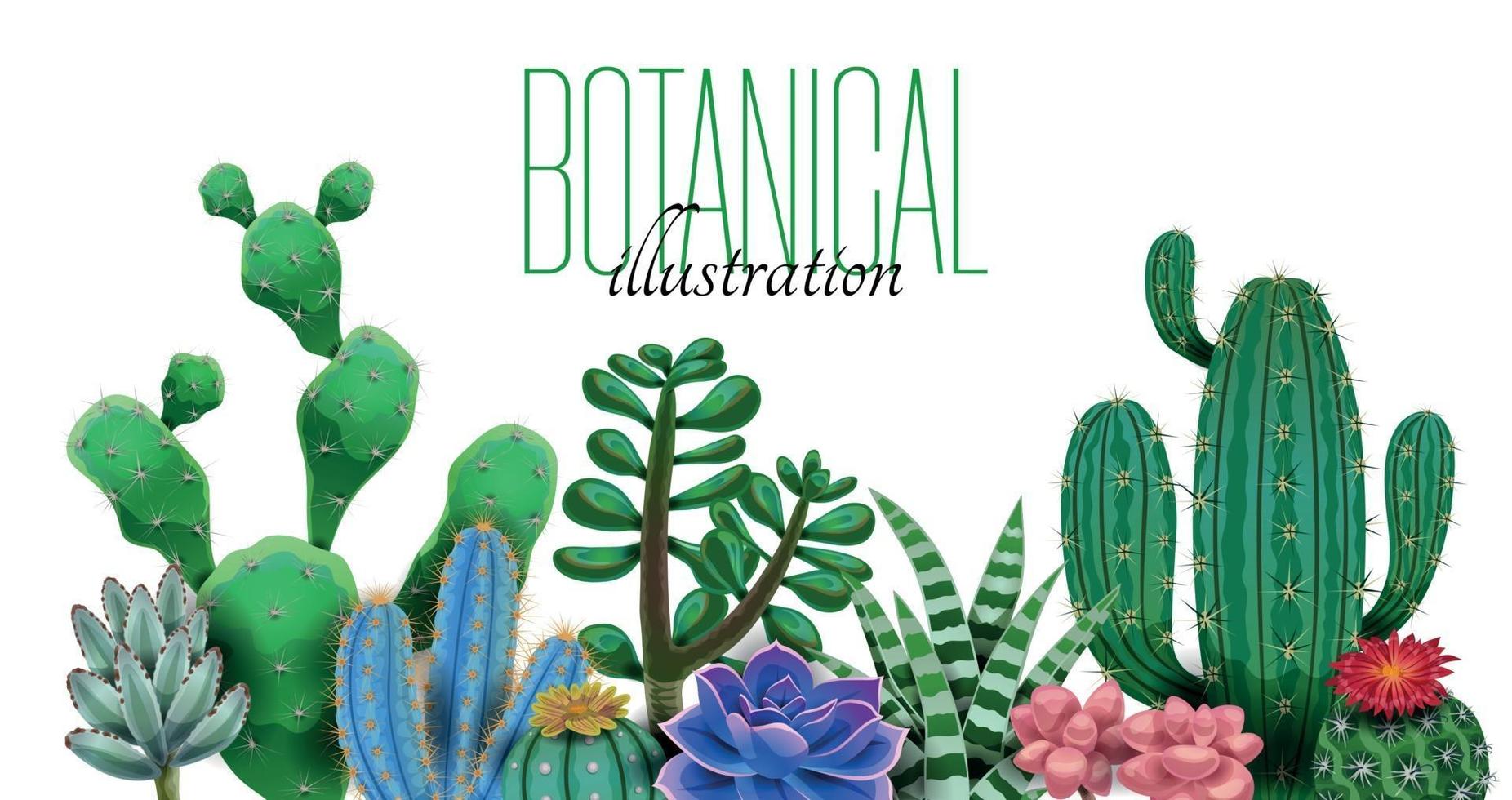 composición de texto botánico de cactus vector