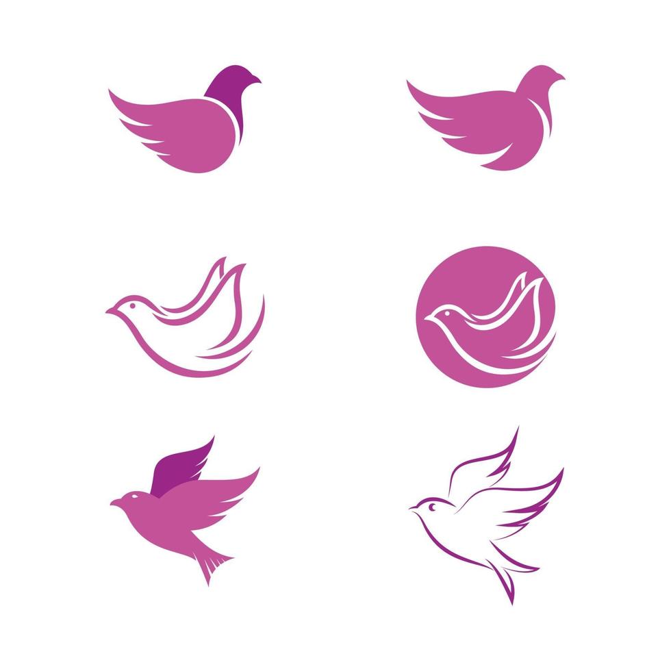 Bird wing Dove icon Template vector