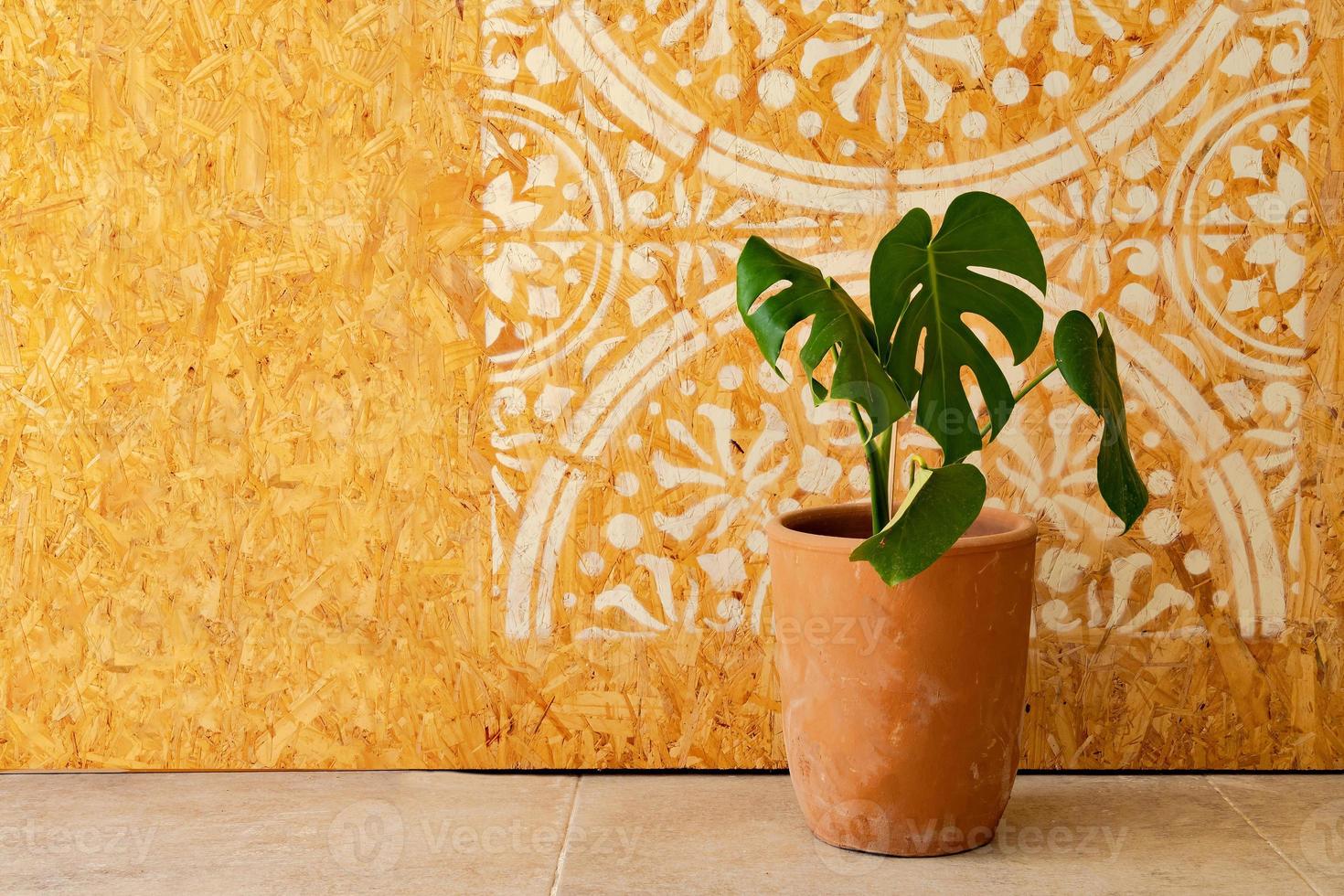 Planta de interior en una maceta con imagen de mandala en la pared de madera foto