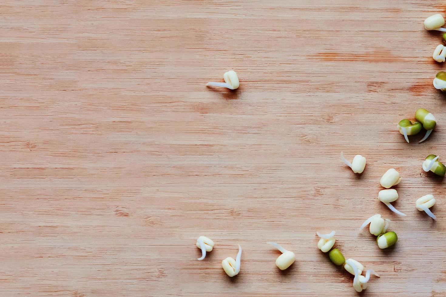 mung beans sprouts scattered on table, top view photo