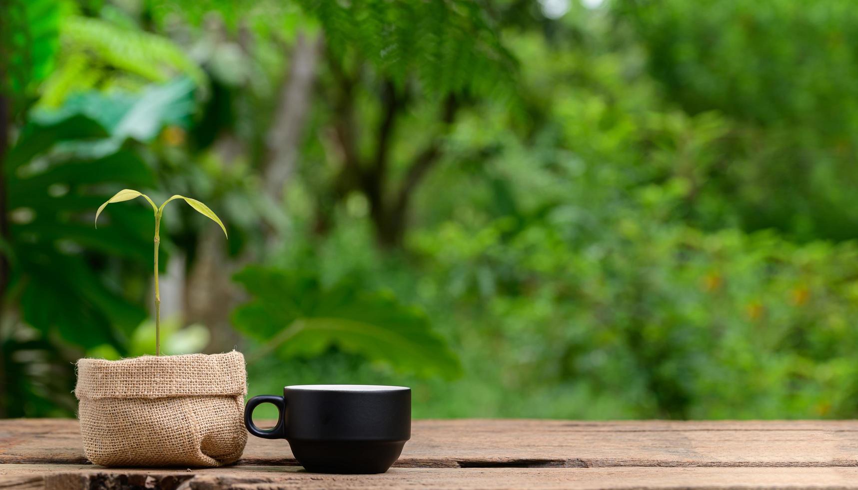 plantas en macetas de tela y tazas de café foto