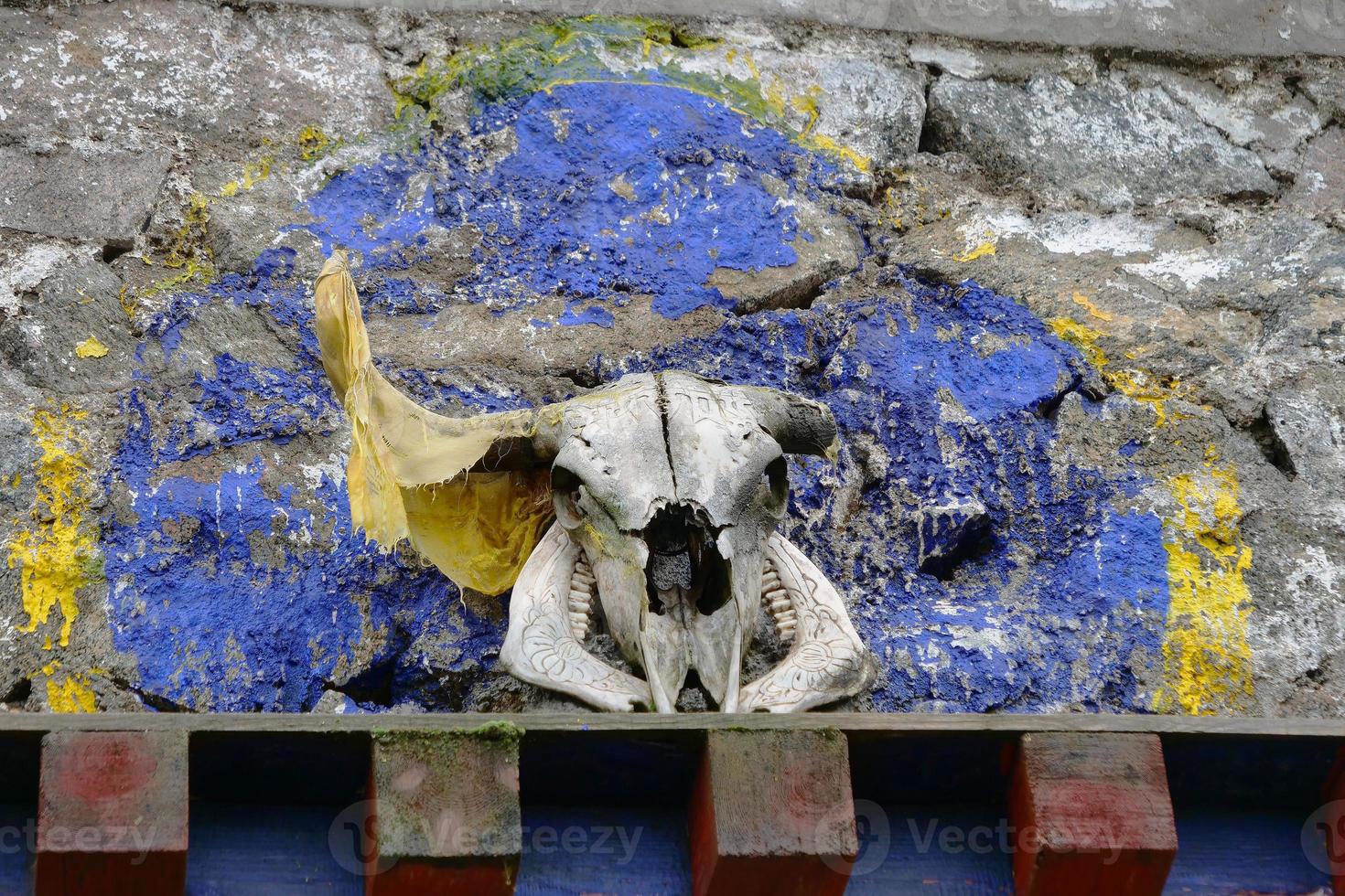 cráneo de cabeza de animal en el templo budista tibetano, laji shan qinghai china foto