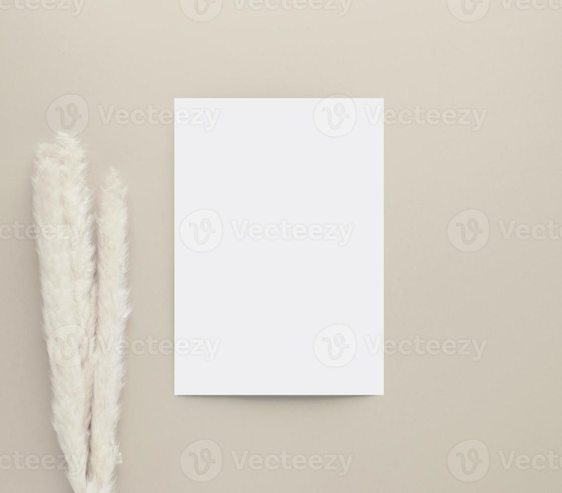 Blank white paper on beige background with reed grass flower, photo
