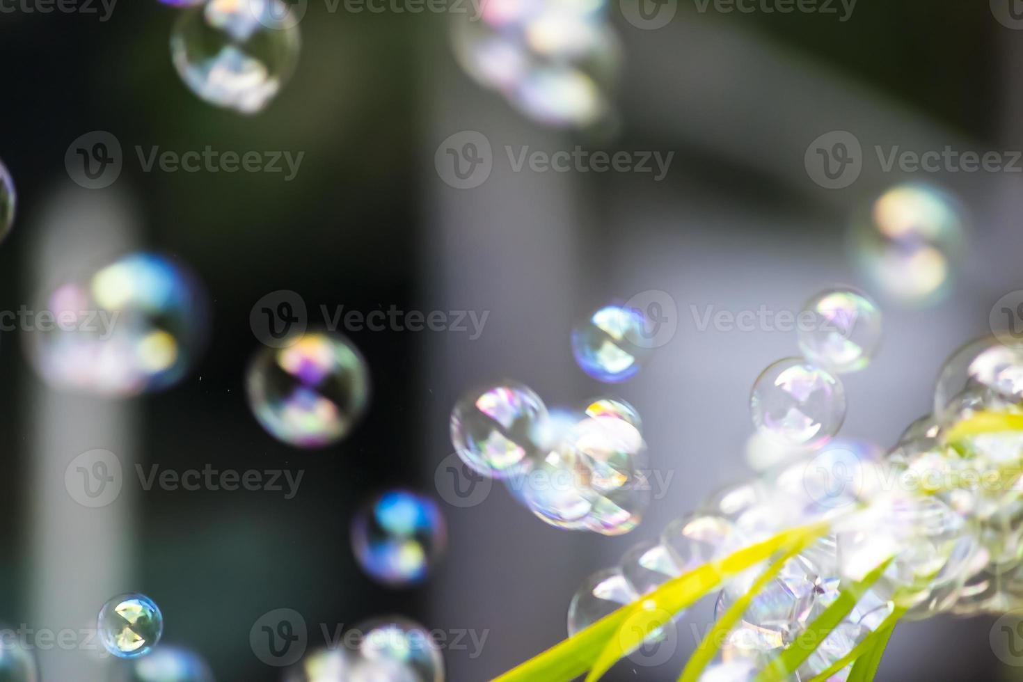 Water bubbles floating and falling on green leaves photo