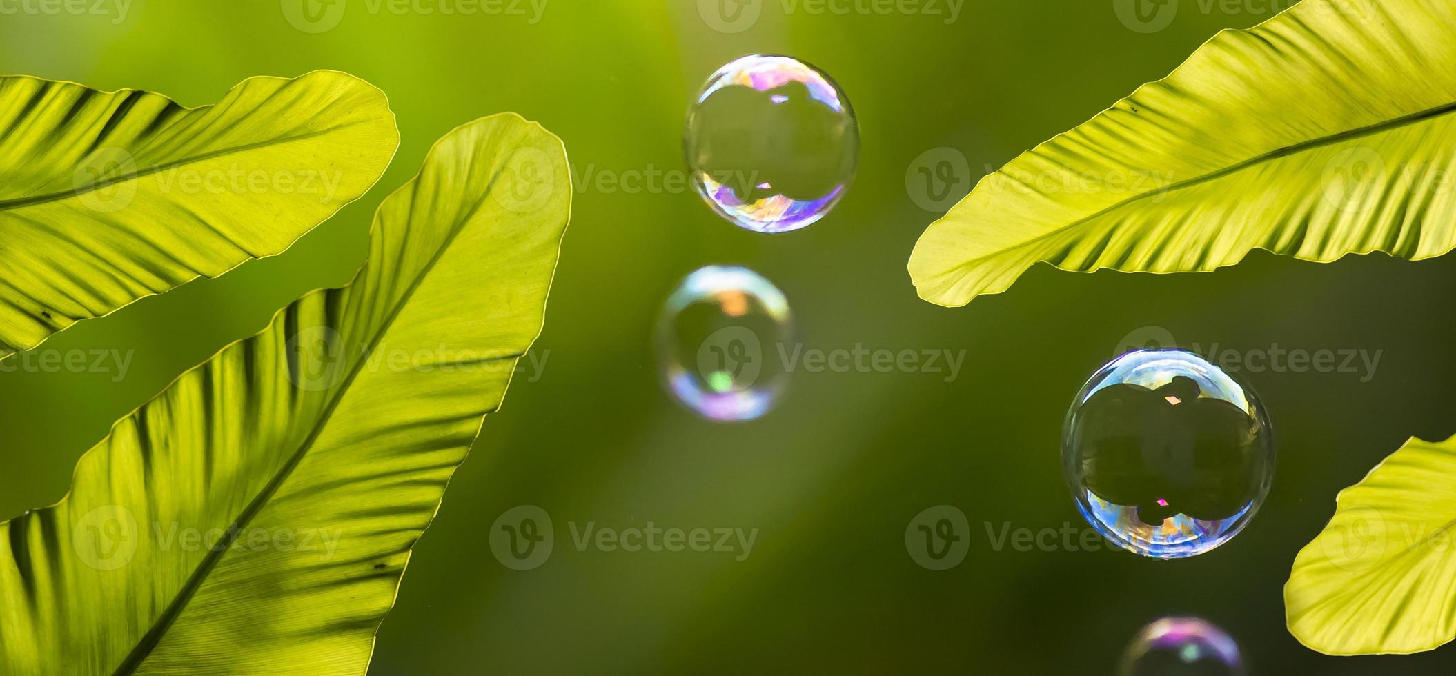 burbujas de agua flotando y cayendo sobre hojas verdes. foto