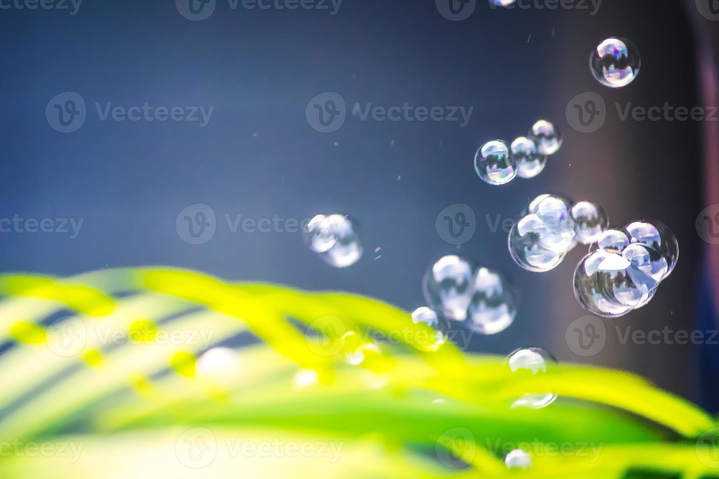 Water bubbles floating and falling on green leaves photo