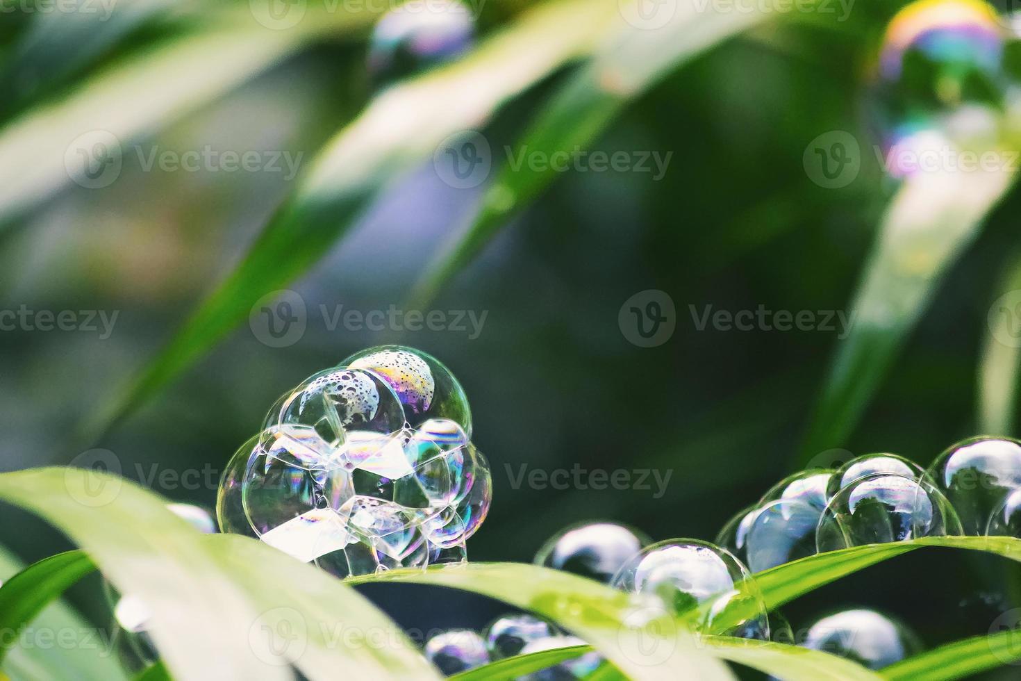 Water bubbles floating and falling on green leaves photo