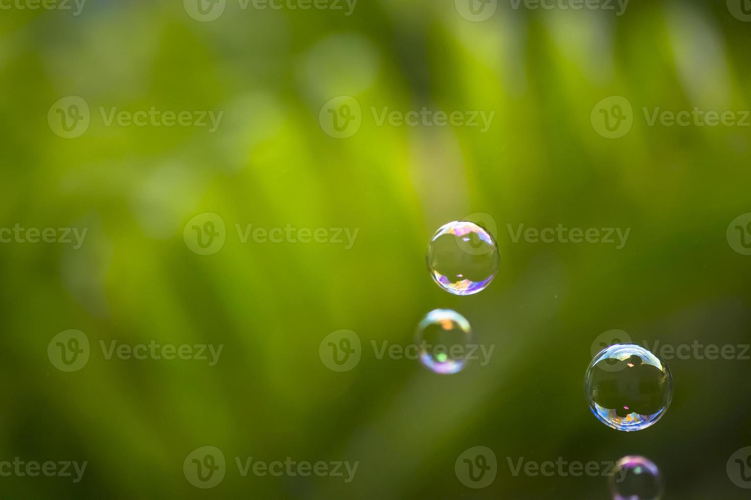 Water bubbles floating and falling on green leaves photo