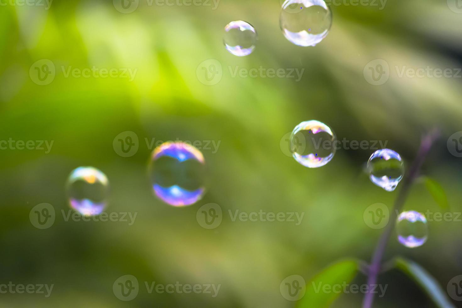 Water bubbles floating and falling on green leaves photo