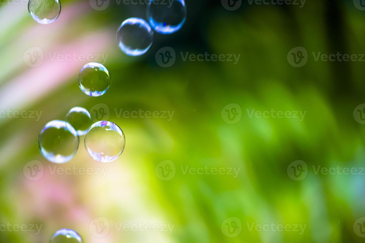 Water bubbles floating and falling on green leaves photo