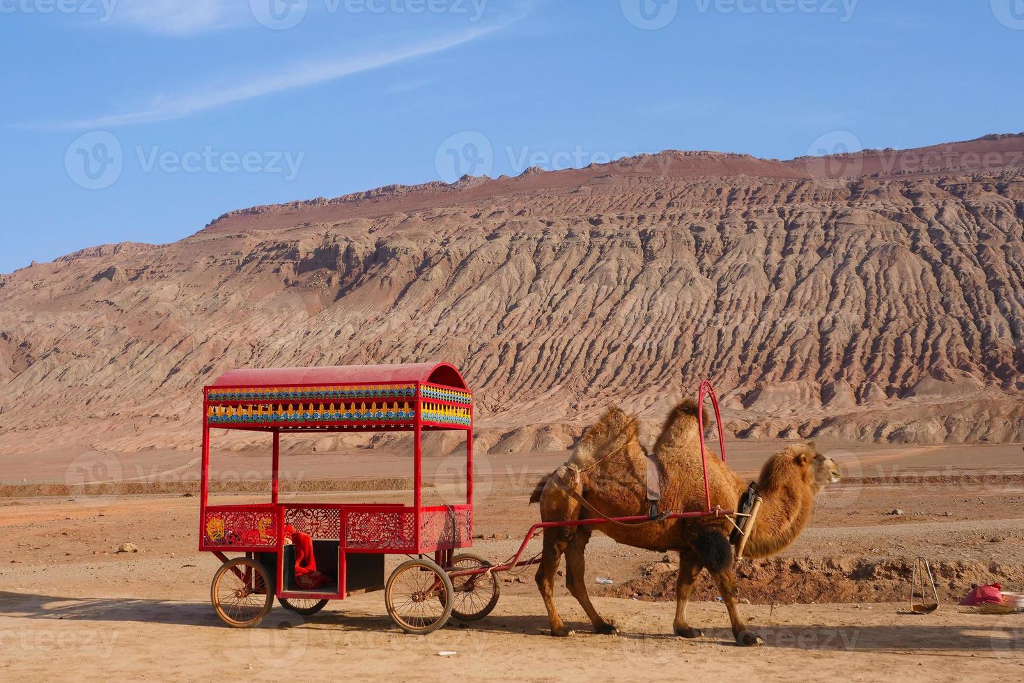 Flaming Mountain and camel in Turpan Xinjiang Province China. photo