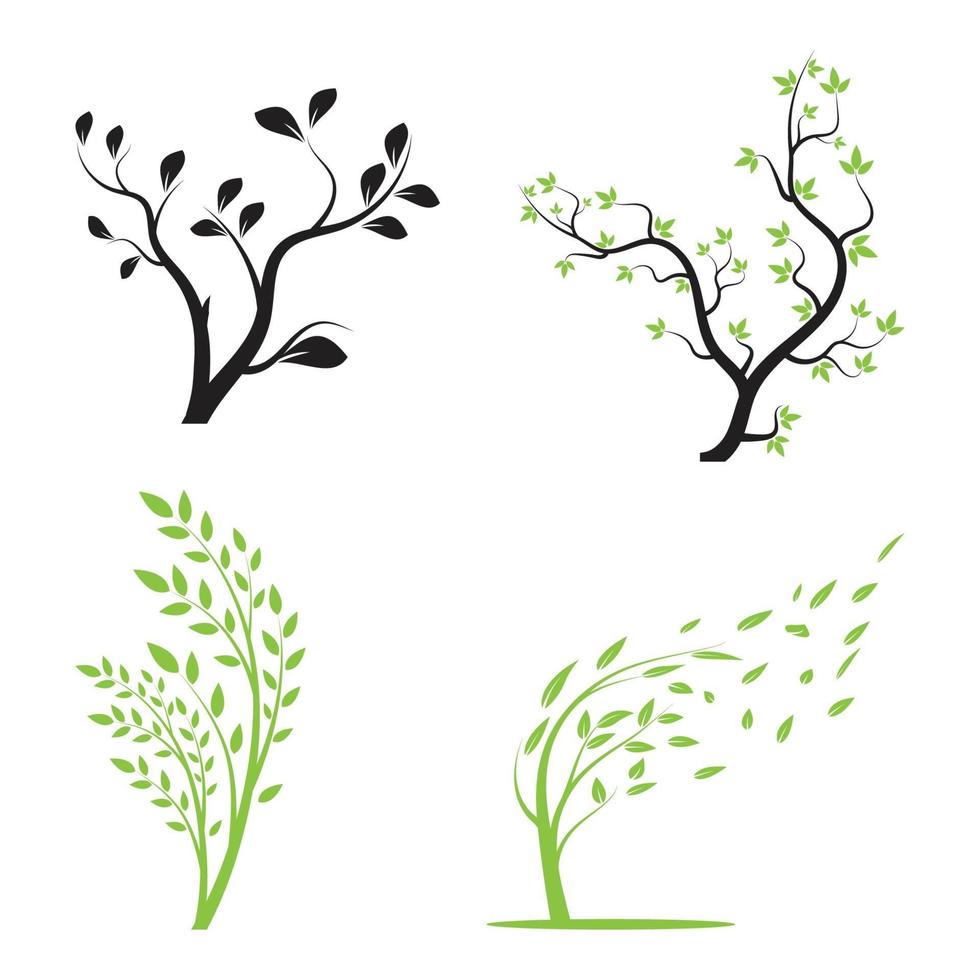 branch tree vector illustration summer clipart autumn clipart nature