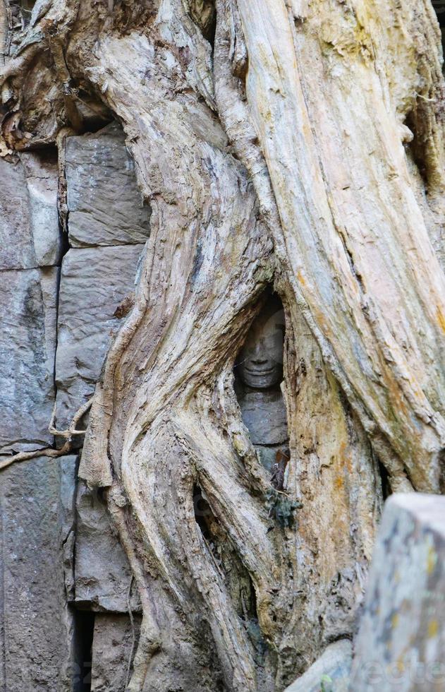 stone carving of face warped by tree root at Ta Prohm Temple Siem Reap photo