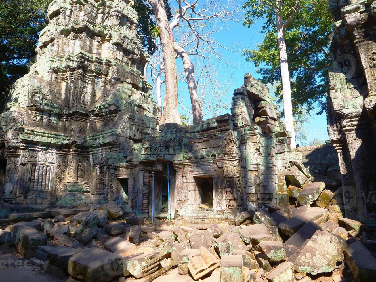 Ta Prohm Temple in Angkor wat complex, Siem Reap Cambodia. photo