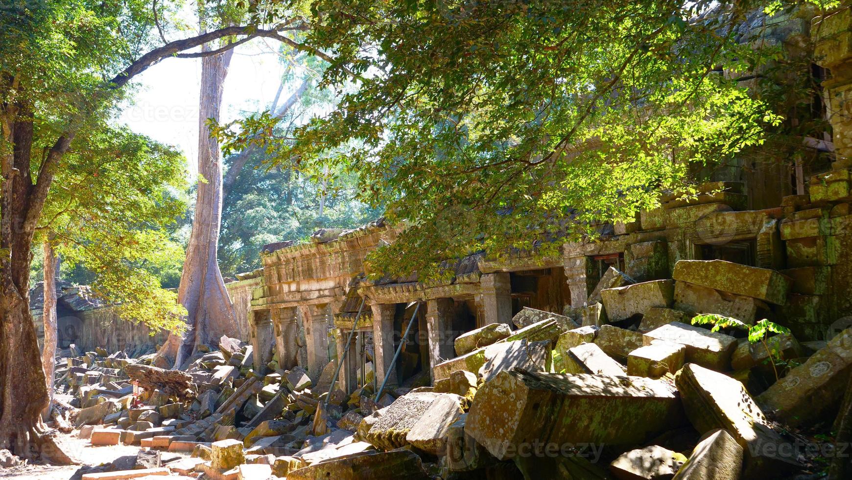 Ta Prohm Temple in Angkor wat complex, Siem Reap Cambodia. photo