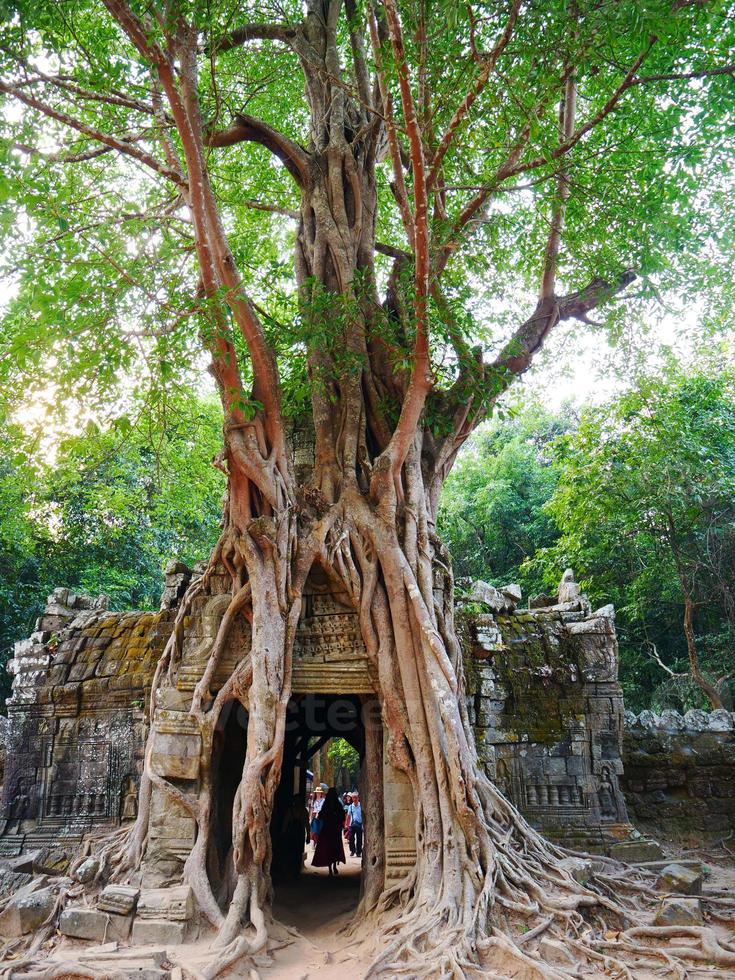 Ancient ruins of Ta Som temple door gate ruin with jungle tree photo