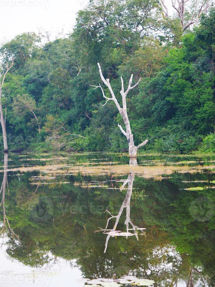 estanque del lago en neak poan en el complejo de angkor wat, siem reap, camboya. foto