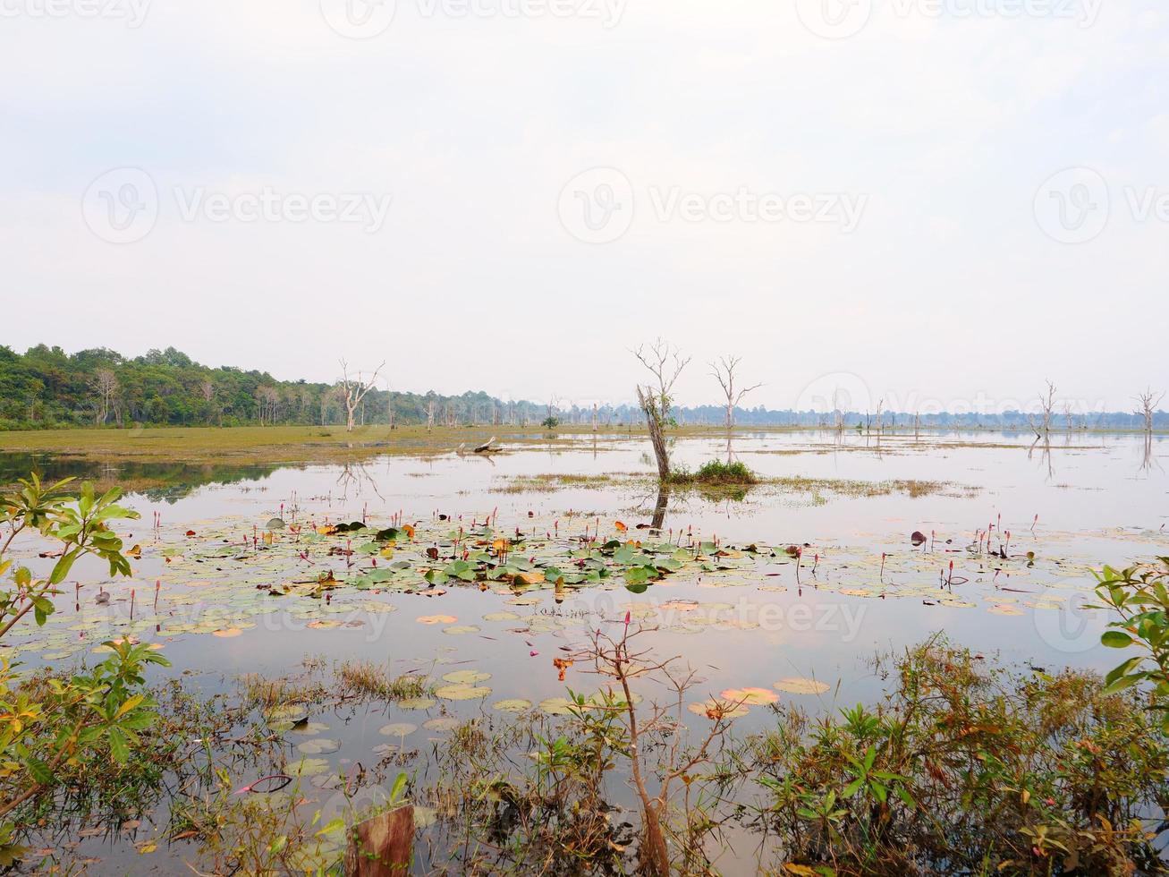 lake pond at Neak Poan in Angkor Wat complex, Siem Reap Cambodia. photo