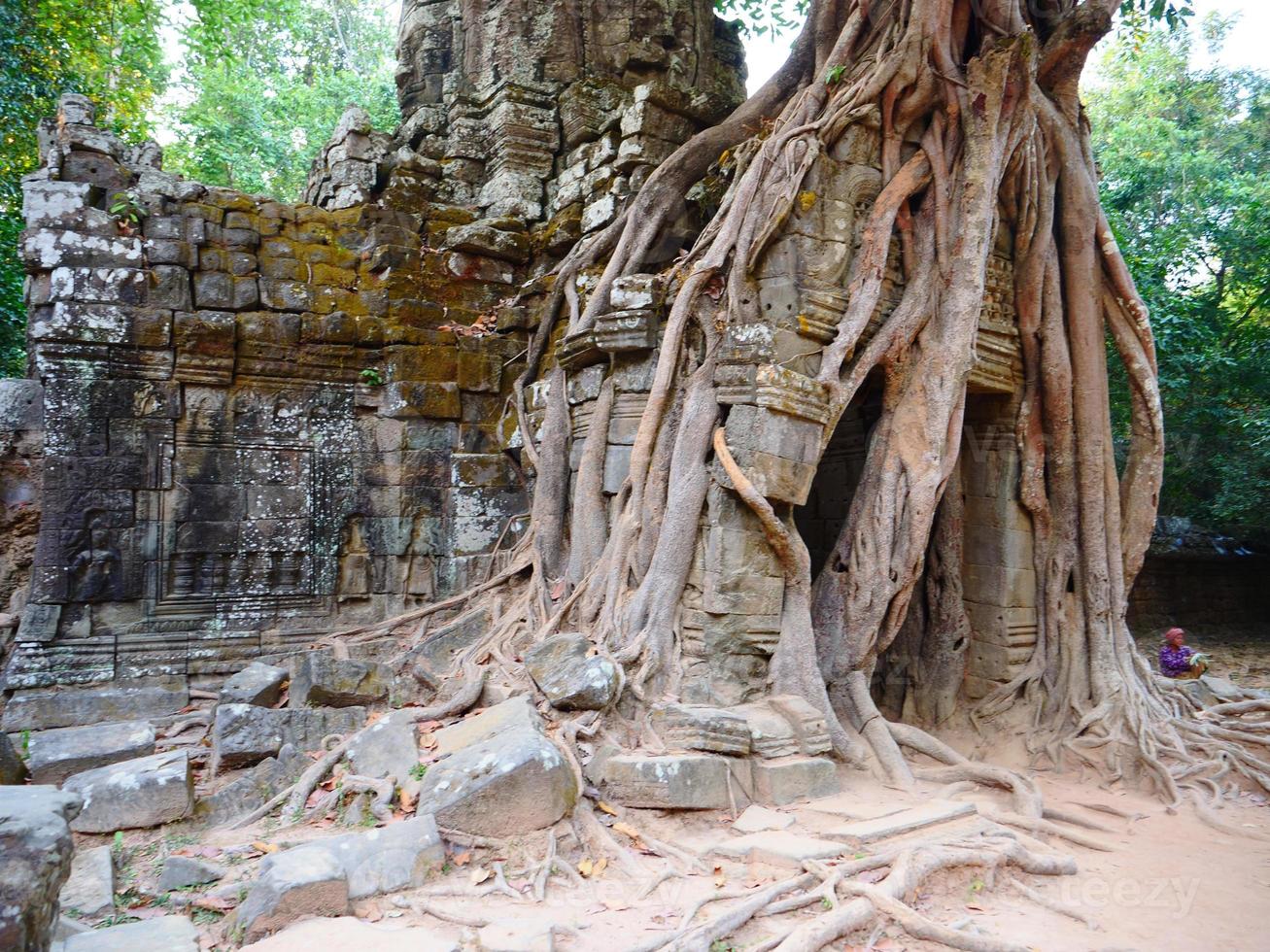 Ancient ruins of Ta Som temple door gate ruin with jungle tree photo