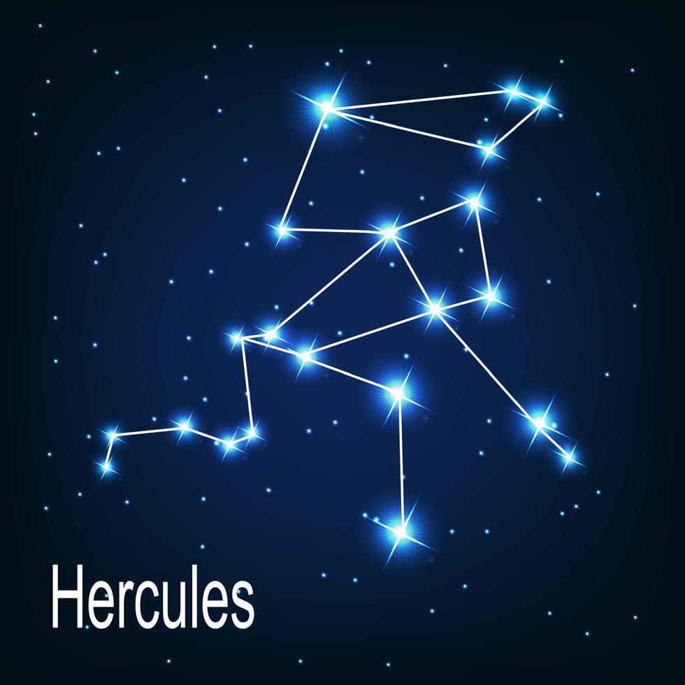 The constellation Hercules star in the night sky. vector