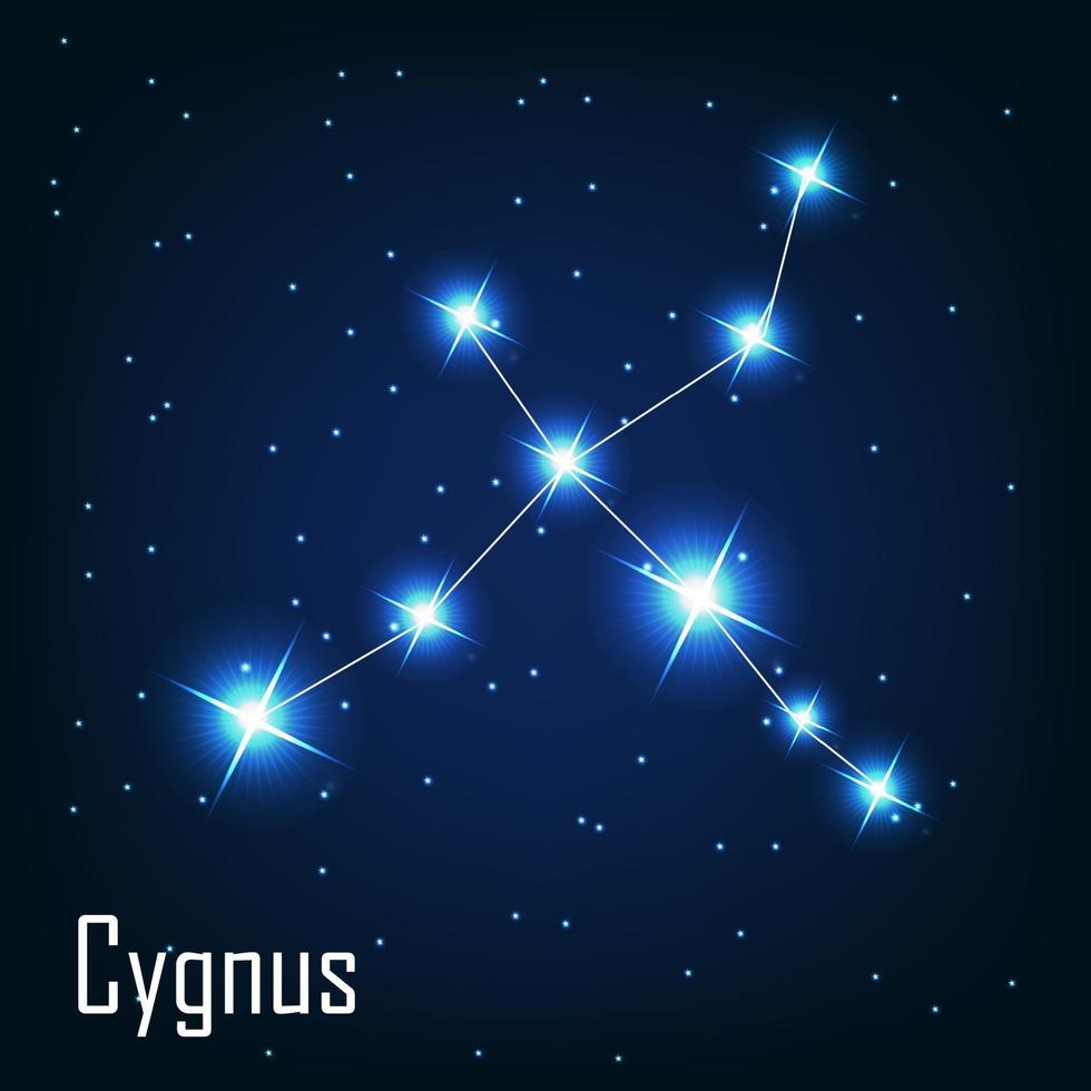 la constelación de estrellas cygnus en el cielo nocturno. vector