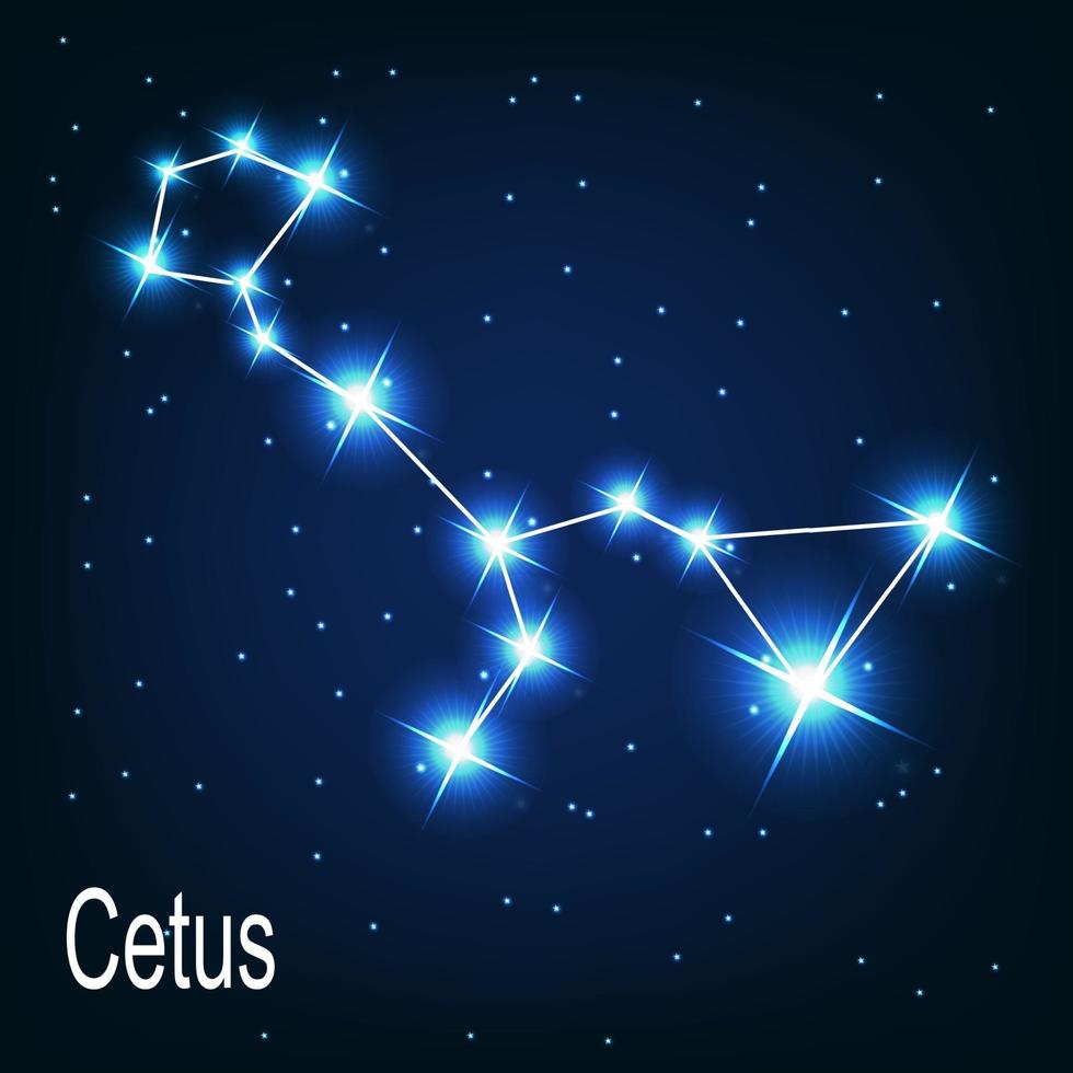The constellation Cetus star in the night sky. vector