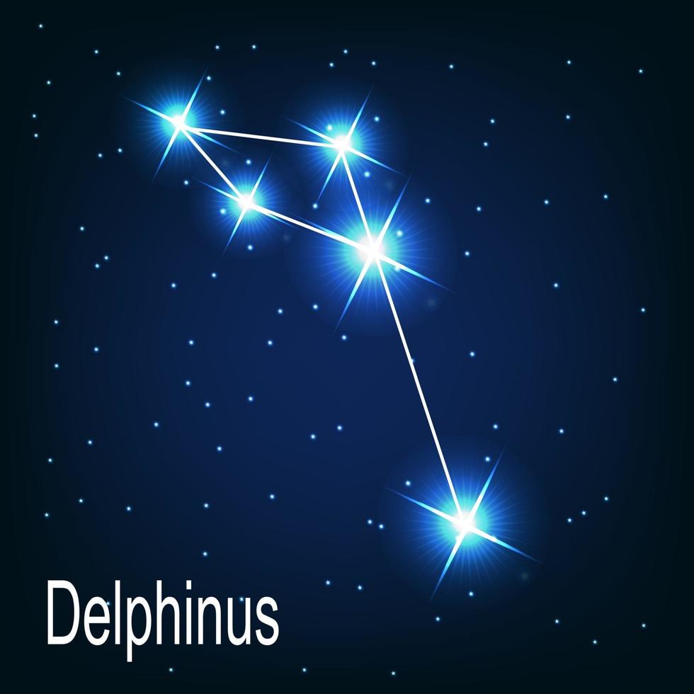 The constellation Delphinus star in the night sky. vector