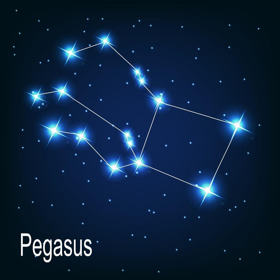 The constellation Pegasus star in the night sky. vector