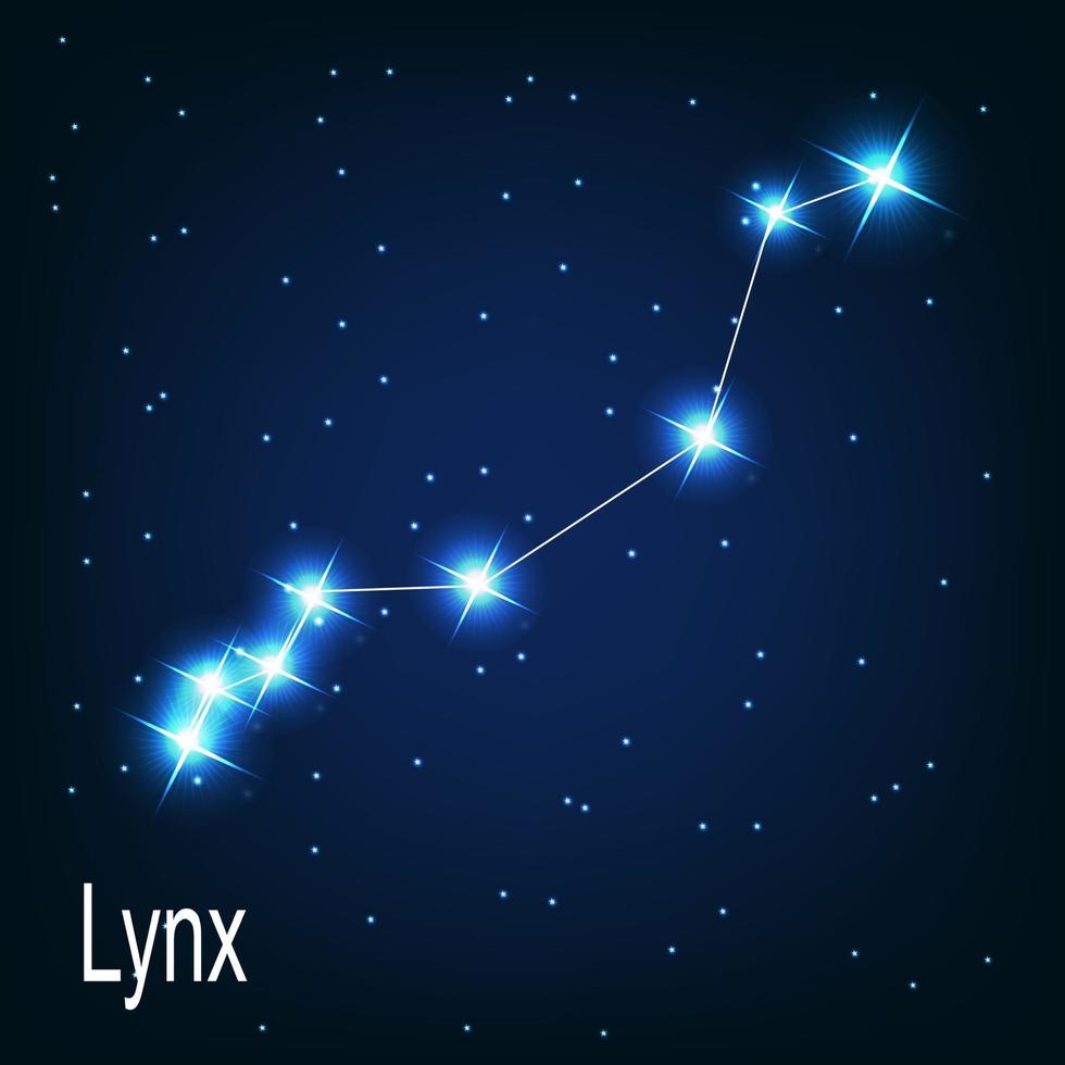 The constellation Lynx star in the night sky. vector