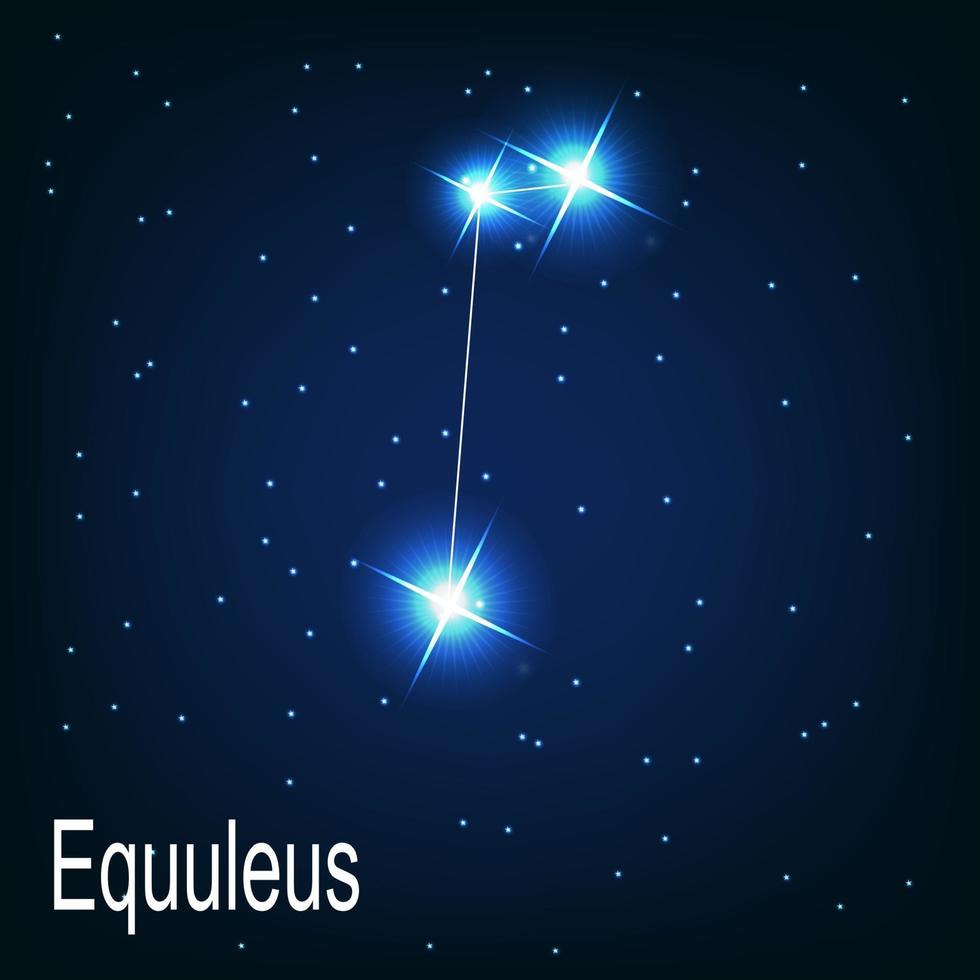 The constellation Equuleus star in the night sky. vector