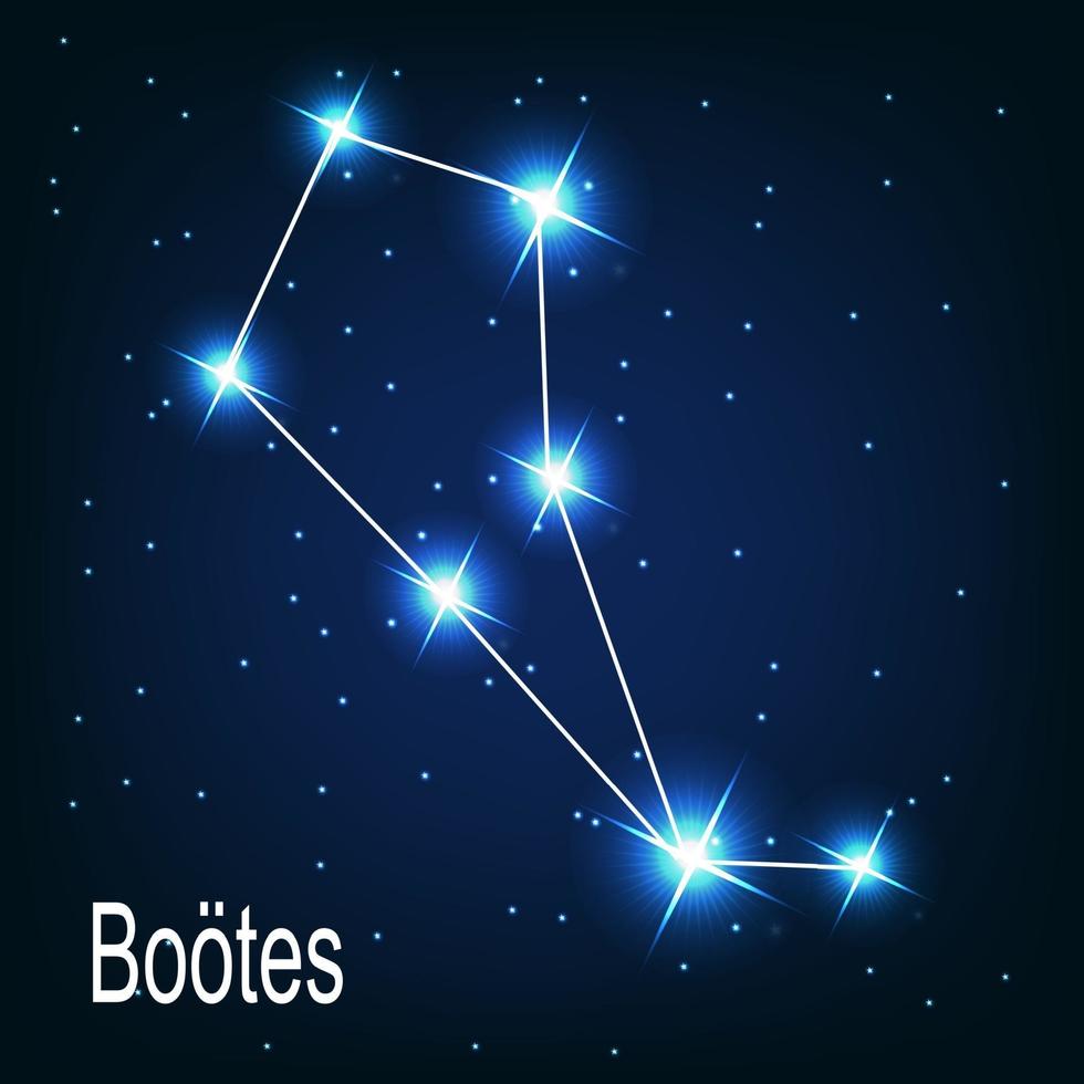 The constellation Bootes star in the night sky. vector