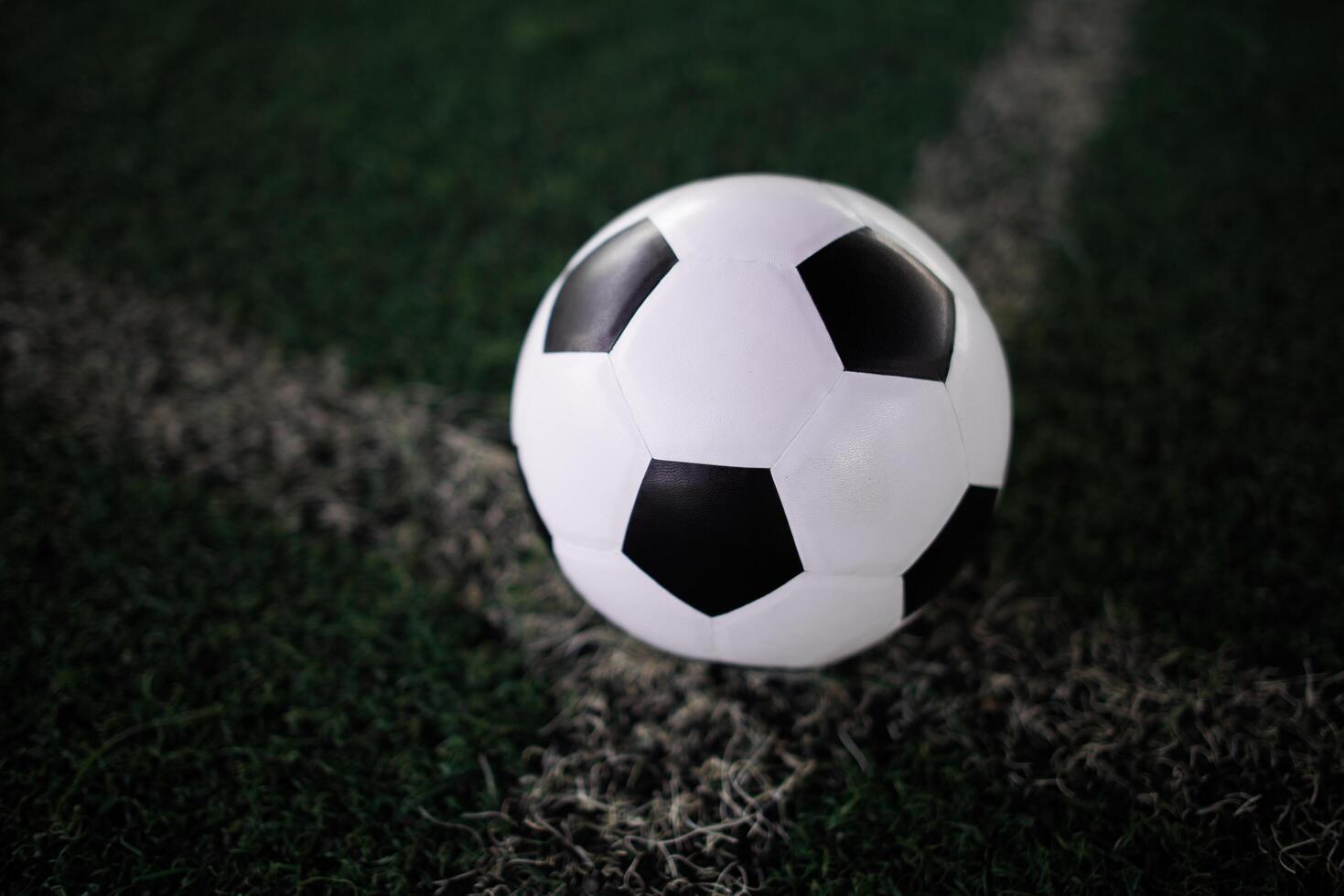 soccer ball on the white line at stadium photo