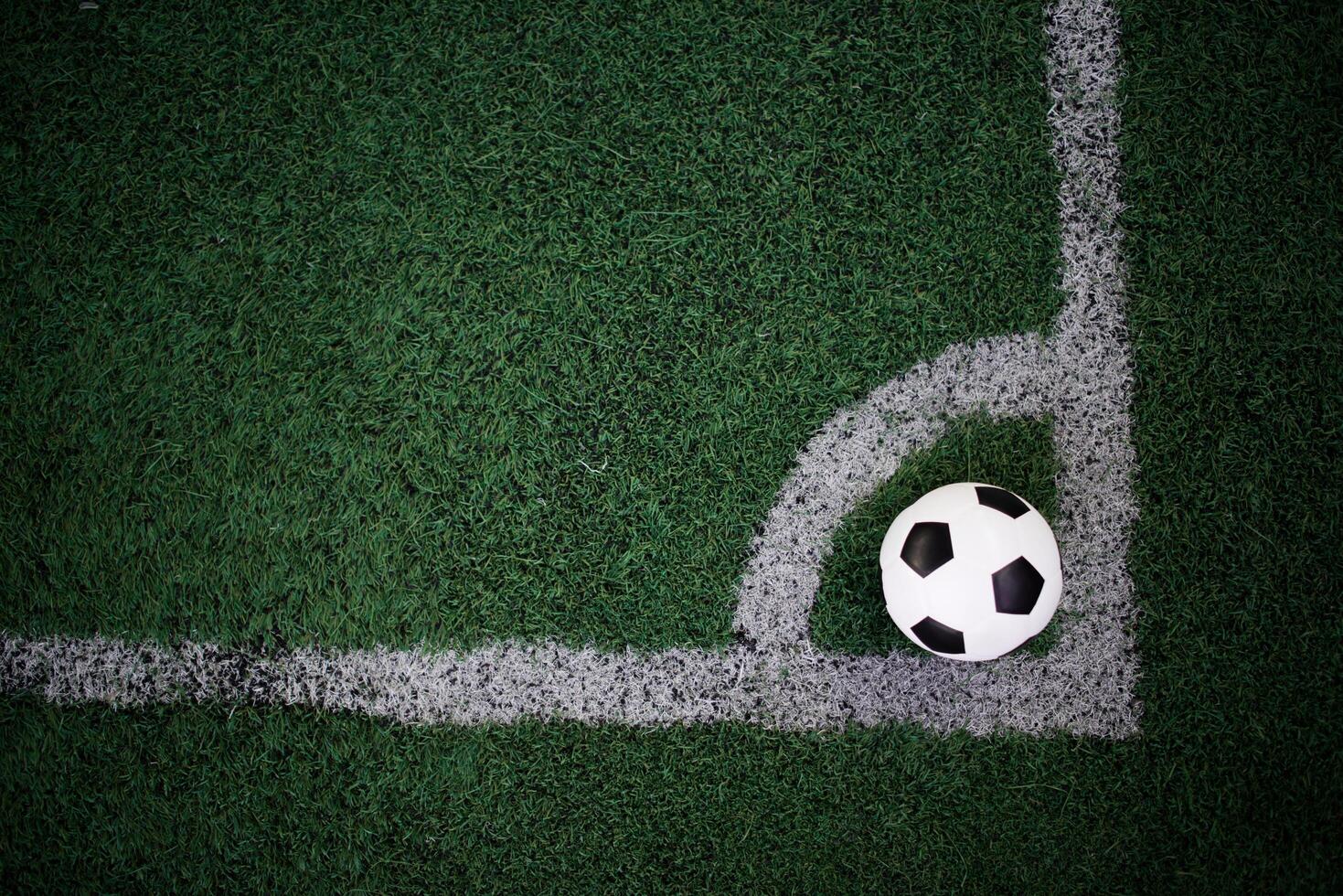 soccer ball on the white line at stadium photo