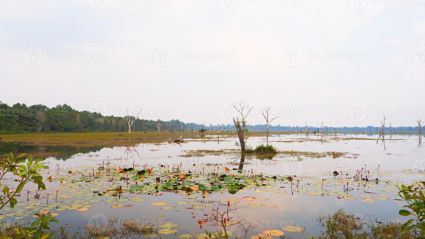 lake pond at Neak Poan in Angkor Wat complex, Siem Reap Cambodia