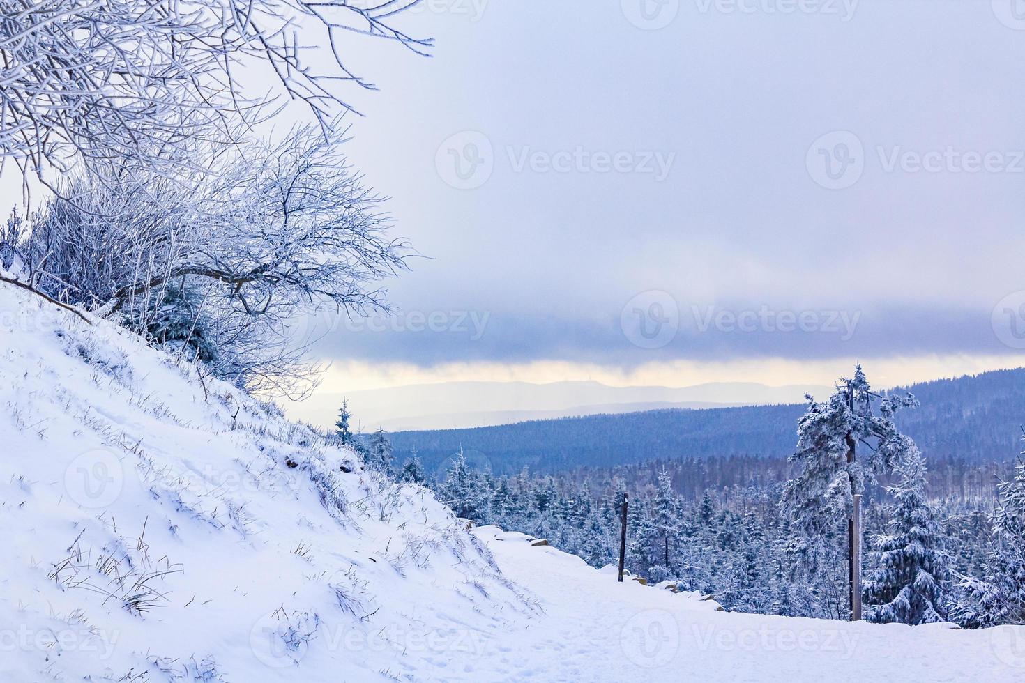 nevado en el paisaje de abetos helados brocken mountain harz alemania foto